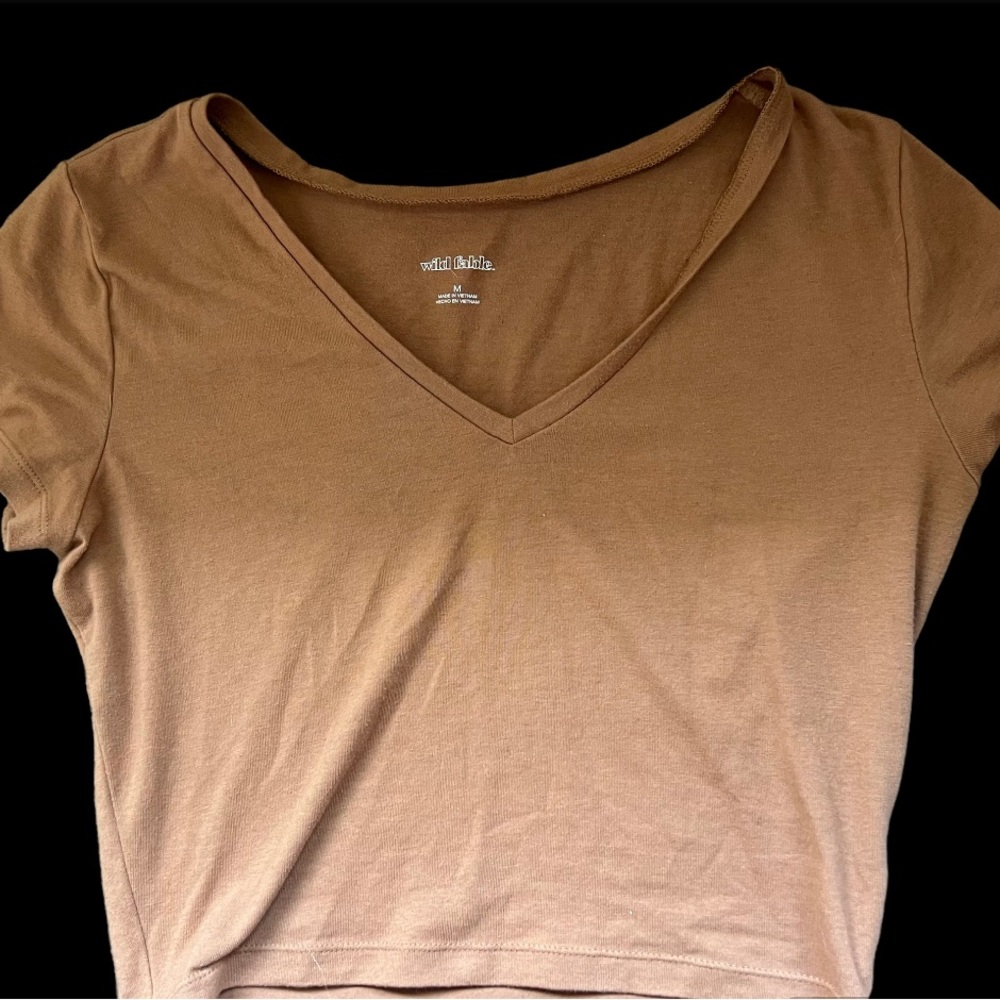 Wild Fable Tan cropped v neck tee